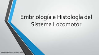 Embriología e Histología del
Sistema Locomotor

Maricielo Justiniano Tello.

 