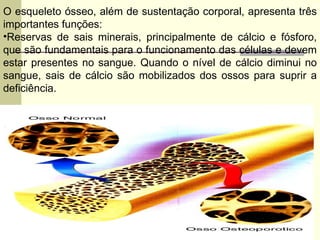 O esqueleto ósseo, além de sustentação corporal, apresenta três importantes funções: Reservas de sais minerais, principalmente de cálcio e fósforo, que são fundamentais para o funcionamento das células e devem estar presentes no sangue. Quando o nível de cálcio diminui no sangue, sais de cálcio são mobilizados dos ossos para suprir a deficiência.  
