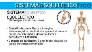 SISTEMA ESQUELÉTICO
SISTEMA
ESQUELÉTICO
•
•
•
Etimologia: Estudo dos ossos
Conceito de ossos: Ossos são órgãos
esbranquiçados, muito duros, que unindo-se aos
outros, por intermédio das articulações
constituem o Esqueleto.
Conceito de cartilagem: É uma forma elástica de
tecido conectivo semirrígido
 