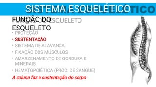 FUNÇÃO DO
ESQUELETO
SISTEMA ESQUELÉTICO
•
•
•
•
•
•
PROTEÇÃO
SUSTENTAÇÃO
SISTEMA DE ALAVANCA
FIXAÇÃO DOS MÚSCULOS
AMARZENAMENTO DE GORDURA E
MINERAIS
HEMATOPOIÉTICA (PROD. DE SANGUE)
A coluna faz a sustentação do corpo
 