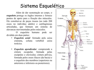 Sistema Esquelético
          Além de dar sustentação ao corpo, o
esqueleto protege os órgãos internos e fornece
pontos de apoio para a fixação dos músculos.
Ele constitui-se de peças ósseas (ao todo 208
ossos no indivíduo adulto) e cartilaginosas
articuladas, que formam um sistema de
alavancas movimentadas pelos músculos.
          O esqueleto humano pode ser
dividido em duas partes:
     • Esqueleto axial: formado pela caixa
        craniana, coluna vertebral caixa
        torácica.

    • Esqueleto apendicular: compreende a
      cintura escapular, formada pelas
      escápulas e clavículas; cintura pélvica,
      formada pelos ossos ilíacos (da bacia) e
      o esqueleto dos membros (superiores ou
      anteriores e inferiores ou posteriores).
 