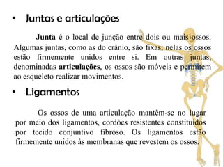 • Juntas e articulações
       Junta é o local de junção entre dois ou mais ossos.
Algumas juntas, como as do crânio, são fixas; nelas os ossos
estão firmemente unidos entre si. Em outras juntas,
denominadas articulações, os ossos são móveis e permitem
ao esqueleto realizar movimentos.

• Ligamentos
      Os ossos de uma articulação mantêm-se no lugar
por meio dos ligamentos, cordões resistentes constituídos
por tecido conjuntivo fibroso. Os ligamentos estão
firmemente unidos às membranas que revestem os ossos.
 