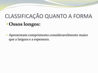 CLASSIFICAÇÃO QUANTO A FORMA
 Ossos longos:

 Apresentam comprimento consideravelmente maior
 que a largura e a espessura.
 