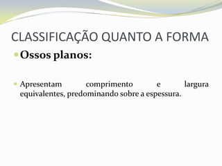 CLASSIFICAÇÃO QUANTO A FORMA
 Ossos planos:

 Apresentam        comprimento        e       largura
 equivalentes, predominando sobre a espessura.
 