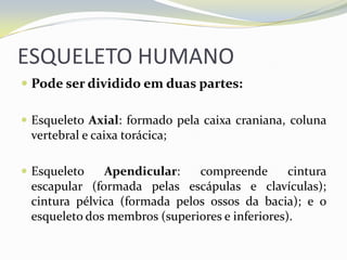 ESQUELETO HUMANO
 Pode ser dividido em duas partes:

 Esqueleto Axial: formado pela caixa craniana, coluna
 vertebral e caixa torácica;

 Esqueleto   Apendicular:    compreende        cintura
 escapular (formada pelas escápulas e clavículas);
 cintura pélvica (formada pelos ossos da bacia); e o
 esqueleto dos membros (superiores e inferiores).
 