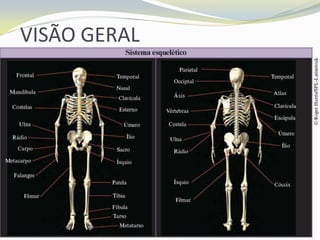 VISÃO GERAL
 