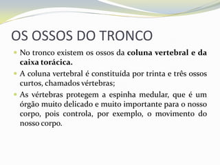 OS OSSOS DO TRONCO
 No tronco existem os ossos da coluna vertebral e da
  caixa torácica.
 A coluna vertebral é constituída por trinta e três ossos
  curtos, chamados vértebras;
 As vértebras protegem a espinha medular, que é um
  órgão muito delicado e muito importante para o nosso
  corpo, pois controla, por exemplo, o movimento do
  nosso corpo.
 