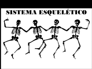 SISTEMA ESQUELÉTICO
 
