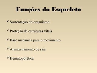 Funções do Esqueleto
Sustentação do organismo

Proteção de estruturas vitais

Base mecânica para o movimento

Armazenamento de sais

Hematopoiética
 