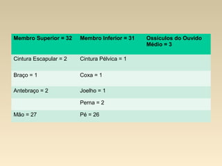 Membro Superior = 32    Membro Inferior = 31   Ossículos do Ouvido 
                                               Médio = 3 

Cintura Escapular = 2   Cintura Pélvica = 1

Braço = 1               Coxa = 1

Antebraço = 2           Joelho = 1

                        Perna = 2

Mão = 27                Pé = 26
 