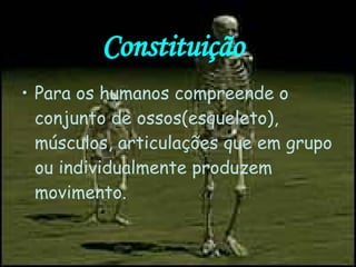 Constituição Para os humanos compreende o conjunto de ossos(esqueleto), músculos, articulações que em grupo ou individualmente produzem movimento.  