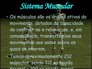 Sistema Muscular Os músculos são os órgãos ativos do movimento, dotados da capacidade de contrair-se e relaxar-se, e, em conseqüência, transmitem os seus movimentos aos ossos sobre os quais se inserem. Temos aproximadamente 212 músculos, sendo 112 na região frontal e 100 na região dorsal.  