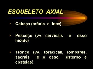 ESQUELETO AXIAL
• Cabeça (crânio e face)
• Pescoço (vv. cervicais e osso
hióide)
• Tronco (vv. torácicas, lombares,
sacrais e o osso esterno e
costelas)
 