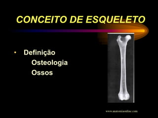 CONCEITO DE ESQUELETO
• Definição
Osteologia
Ossos
 
