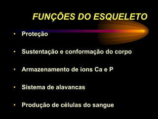 FUNÇÕES DO ESQUELETO
• Proteção
• Sustentação e conformação do corpo
• Armazenamento de íons Ca e P
• Sistema de alavancas
• Produção de células do sangue
 