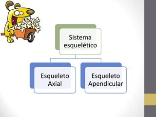 Sistema
esquelético
Esqueleto
Axial
Esqueleto
Apendicular
 