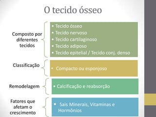 O tecido ósseo
Classificação
Composto por
diferentes
tecidos
• Tecido ósseo
• Tecido nervoso
• Tecido cartilaginoso
• Tecido adiposo
• Tecido epitelial / Tecido conj. denso
Remodelagem • Calcificação e reabsorção
Fatores que
afetam o
crescimento
• Sais Minerais, Vitaminas e
Hormônios
• Compacto ou esponjoso
 