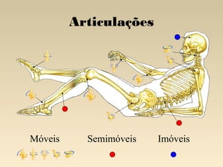 Articulações

Móveis

Semimóveis

Imóveis

 