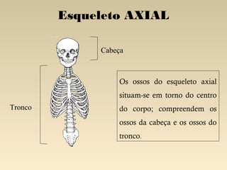 Esqueleto AXIAL
Cabeça

Os ossos do esqueleto axial
situam-se em torno do centro
Tronco

do corpo; compreendem os
ossos da cabeça e os ossos do
tronco.

 