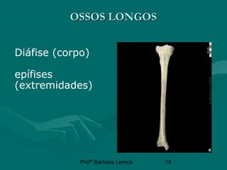 Profª Bárbara Lemos 14
OSSOS LONGOSOSSOS LONGOS
Diáfise (corpo)
epífises
(extremidades)
 