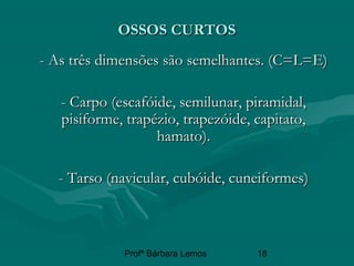 Profª Bárbara Lemos 18
OSSOS CURTOSOSSOS CURTOS
- As três dimensões são semelhantes. (C=L=E)- As três dimensões são semelhantes. (C=L=E)
- Carpo (escafóide, semilunar, piramidal,- Carpo (escafóide, semilunar, piramidal,
pisiforme, trapézio, trapezóide, capitato,pisiforme, trapézio, trapezóide, capitato,
hamato).hamato).
- Tarso (navicular, cubóide, cuneiformes)- Tarso (navicular, cubóide, cuneiformes)
 