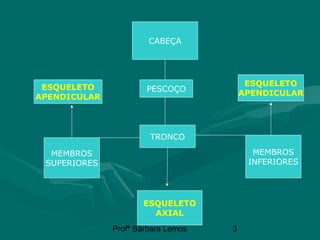 Profª Bárbara Lemos 3
CABEÇA
PESCOÇO
TRONCO
MEMBROS
INFERIORES
MEMBROS
SUPERIORES
ESQUELETO
AXIAL
ESQUELETO
APENDICULAR
ESQUELETO
APENDICULAR
 