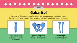 esterno (plano) pélvis (irregular) tíbia (longo)
proteção do coração
e pulmões
fixação de músculos suporte de peso
Lembre-se de que os ossos humanos são agrupados de acordo com sua
forma, sendo os principais tipos os ossos planos, irregulares, curtos e longos.
Gabarito!
Gabarito
 