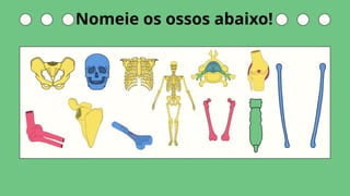 Nomeie os ossos abaixo!
 