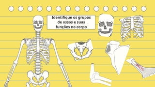 Identifique os grupos
de ossos e suas
funções no corpo
 