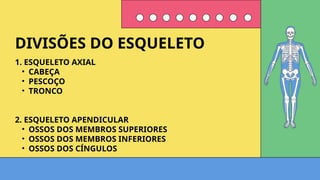 1. ESQUELETO AXIAL
• CABEÇA
• PESCOÇO
• TRONCO
2. ESQUELETO APENDICULAR
• OSSOS DOS MEMBROS SUPERIORES
• OSSOS DOS MEMBROS INFERIORES
• OSSOS DOS CÍNGULOS
DIVISÕES DO ESQUELETO
 