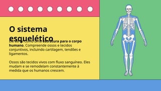 Ele serve como uma estrutura para o corpo
humano. Compreende ossos e tecidos
conjuntivos, incluindo cartilagem, tendões e
ligamentos.
Ossos são tecidos vivos com fluxo sanguíneo. Eles
mudam e se remodelam constantemente à
medida que os humanos crescem.
O sistema
esquelético
 