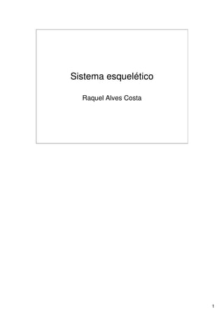 Sistema Esquelético 1