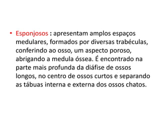 • Esponjosos : apresentam amplos espaços
medulares, formados por diversas trabéculas,
conferindo ao osso, um aspecto poroso,
abrigando a medula óssea. É encontrado na
parte mais profunda da diáfise de ossos
longos, no centro de ossos curtos e separando
as tábuas interna e externa dos ossos chatos.
 