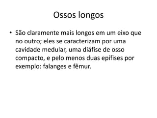 Ossos longos
• São claramente mais longos em um eixo que
no outro; eles se caracterizam por uma
cavidade medular, uma diáfise de osso
compacto, e pelo menos duas epífises por
exemplo: falanges e fêmur.
 