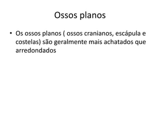 Ossos planos
• Os ossos planos ( ossos cranianos, escápula e
costelas) são geralmente mais achatados que
arredondados
 