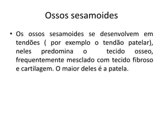 Ossos sesamoides
• Os ossos sesamoides se desenvolvem em
tendões ( por exemplo o tendão patelar),
neles predomina o tecido osseo,
frequentemente mesclado com tecido fibroso
e cartilagem. O maior deles é a patela.
 