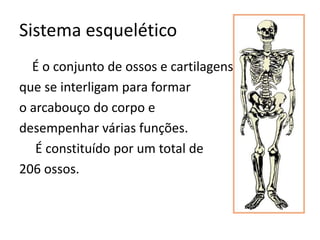 Sistema esquelético
É o conjunto de ossos e cartilagens
que se interligam para formar
o arcabouço do corpo e
desempenhar várias funções.
É constituído por um total de
206 ossos.
 