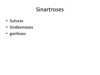 Sinartroses
• Suturas
• Sindesmoses
• gonfoses
 