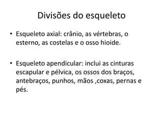 Divisões do esqueleto
• Esqueleto axial: crânio, as vértebras, o
esterno, as costelas e o osso hioide.
• Esqueleto apendicular: inclui as cinturas
escapular e pélvica, os ossos dos braços,
antebraços, punhos, mãos ,coxas, pernas e
pés.
 