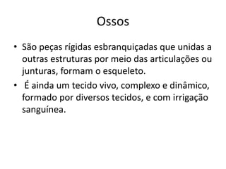 Ossos
• São peças rígidas esbranquiçadas que unidas a
outras estruturas por meio das articulações ou
junturas, formam o esqueleto.
• É ainda um tecido vivo, complexo e dinâmico,
formado por diversos tecidos, e com irrigação
sanguínea.
 