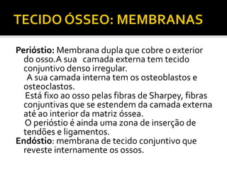 Perióstio: Membrana dupla que cobre o exterior
do osso.A sua camada externa tem tecido
conjuntivo denso irregular.
A sua camada interna tem os osteoblastos e
osteoclastos.
Está fixo ao osso pelas fibras de Sharpey, fibras
conjuntivas que se estendem da camada externa
até ao interior da matriz óssea.
O perióstio é ainda uma zona de inserção de
tendões e ligamentos.
Endóstio: membrana de tecido conjuntivo que
reveste internamente os ossos.
 