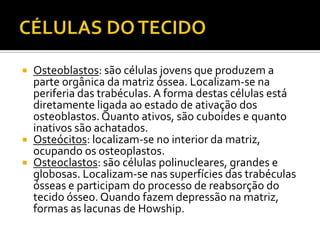  Osteoblastos: são células jovens que produzem a
parte orgânica da matriz óssea. Localizam-se na
periferia das trabéculas. A forma destas células está
diretamente ligada ao estado de ativação dos
osteoblastos. Quanto ativos, são cuboides e quanto
inativos são achatados.
 Osteócitos: localizam-se no interior da matriz,
ocupando os osteoplastos.
 Osteoclastos: são células polinucleares, grandes e
globosas. Localizam-se nas superfícies das trabéculas
ósseas e participam do processo de reabsorção do
tecido ósseo. Quando fazem depressão na matriz,
formas as lacunas de Howship.
 