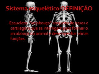 *Esqueleto: “arcabouço” conjunto de ossos e
cartilagens que se interligam para formar o
arcabouço do animal e desempenhar várias
funções.
 