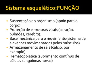  Sustentação do organismo (apoio para o
corpo).
 Proteção de estruturas vitais (coração,
pulmões, cérebro).
 Base mecânica para o movimento(sistema de
alavancas movimentadas pelos músculos).
 Armazenamento de sais (cálcio, por
exemplo).
 Hematopoiética (suprimento contínuo de
células sanguíneas novas)
 