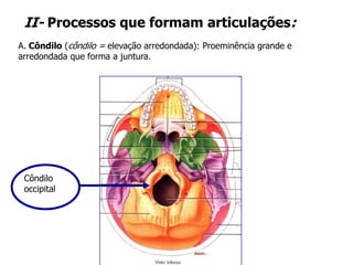 II- Processos que formam articulações:
A. Côndilo (côndilo = elevação arredondada): Proeminência grande e
arredondada que forma a juntura.
Côndilo
occipital
 