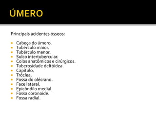 Principais acidentes ósseos:
 Cabeça do úmero.
 Tubérculo maior.
 Tubérculo menor.
 Sulco intertubercular.
 Colos anatômicos e cirúrgicos.
 Tuberosidade deltóidea.
 Capitulo.
 Tróclea.
 Fossa do olécrano.
 Face lateral.
 Epicôndilo medial.
 Fossa coronoide.
 Fossa radial.
 