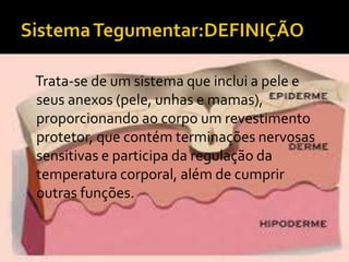 Trata-se de um sistema que inclui a pele e
seus anexos (pele, unhas e mamas),
proporcionando ao corpo um revestimento
protetor, que contém terminações nervosas
sensitivas e participa da regulação da
temperatura corporal, além de cumprir
outras funções.
 