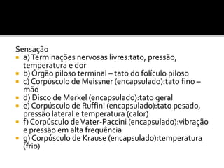 Sensação
 a)Terminações nervosas livres:tato, pressão,
temperatura e dor
 b) Órgão piloso terminal – tato do folículo piloso
 c) Corpúsculo de Meissner (encapsulado):tato fino –
mão
 d) Disco de Merkel (encapsulado):tato geral
 e) Corpúsculo de Ruffini (encapsulado):tato pesado,
pressão lateral e temperatura (calor)
 f) Corpúsculo deVater-Paccini (encapsulado):vibração
e pressão em alta frequência
 g) Corpúsculo de Krause (encapsulado):temperatura
(frio)
 