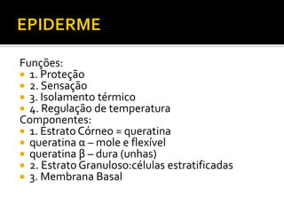 Funções:
 1. Proteção
 2. Sensação
 3. Isolamento térmico
 4. Regulação de temperatura
Componentes:
 1. Estrato Córneo = queratina
 queratina α – mole e flexível
 queratina β – dura (unhas)
 2. Estrato Granuloso:células estratificadas
 3. Membrana Basal
 
