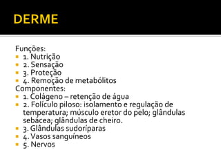 Funções:
 1. Nutrição
 2. Sensação
 3. Proteção
 4. Remoção de metabólitos
Componentes:
 1. Colágeno – retenção de água
 2. Folículo piloso: isolamento e regulação de
temperatura; músculo eretor do pelo; glândulas
sebácea; glândulas de cheiro.
 3. Glândulas sudoríparas
 4.Vasos sanguíneos
 5. Nervos
 